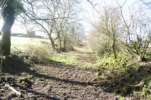 Rowdens Lane