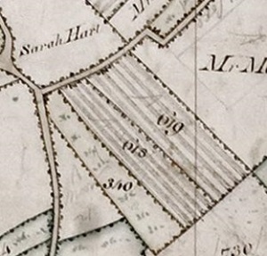 Eldons Stump 1840
